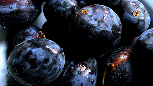 Mehrere Obstsorten An Einem Baum